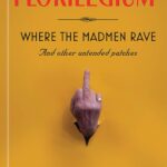 61NEOuaWe4L._SL1491_