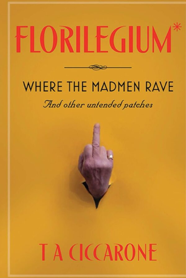 61NEOuaWe4L._SL1491_